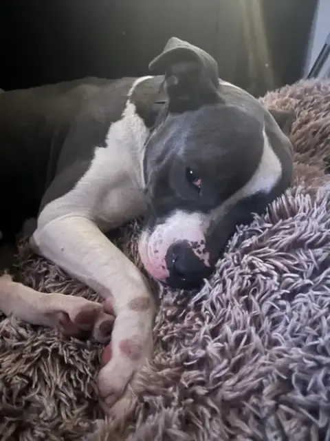 Zeus photo 4