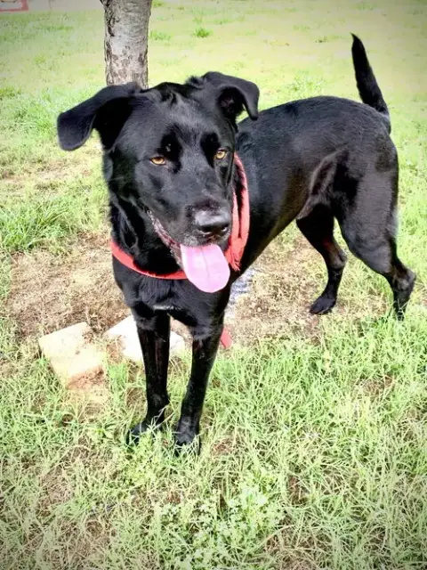 Maxwell May 22 photo 3
