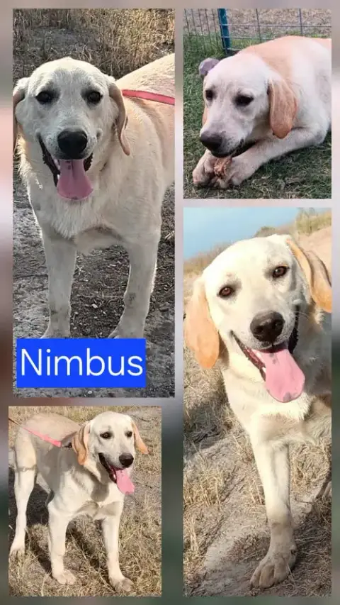 Nimbus photo 2