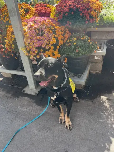 Vito photo 2