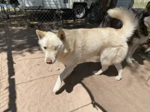 Chase photo 3