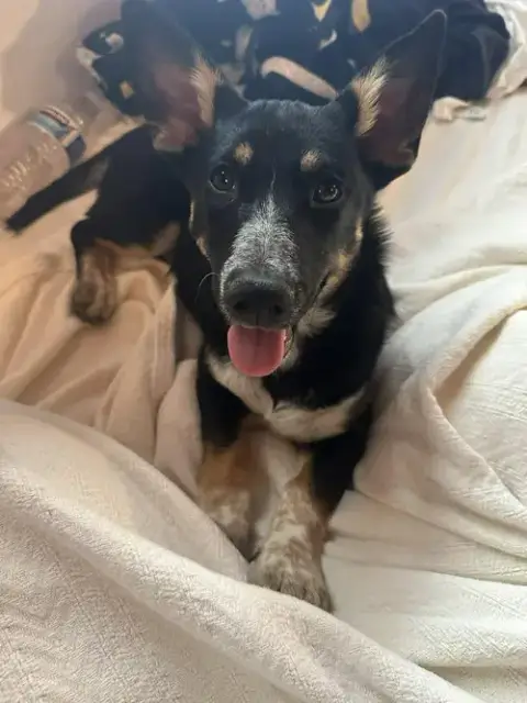 Penelope photo 5