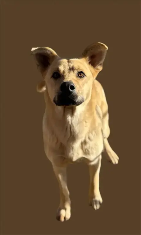 Latigo photo 4
