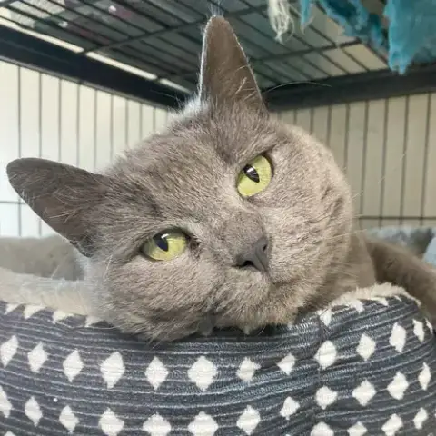 Stormy