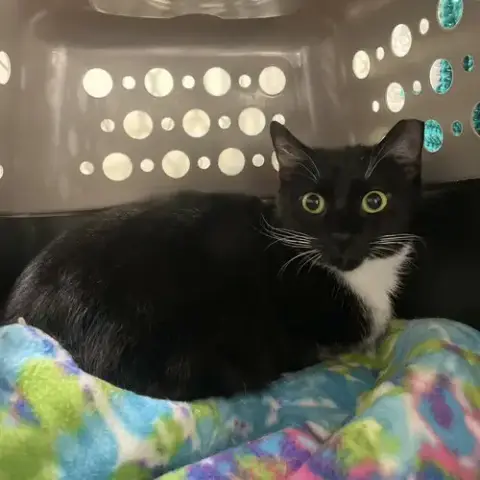 Delilah photo 3
