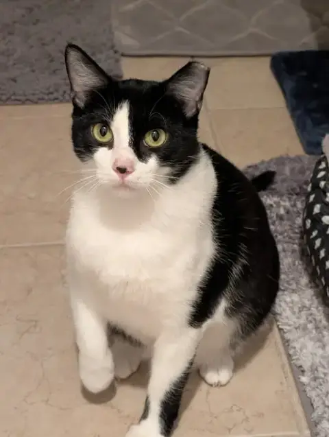 Oreo