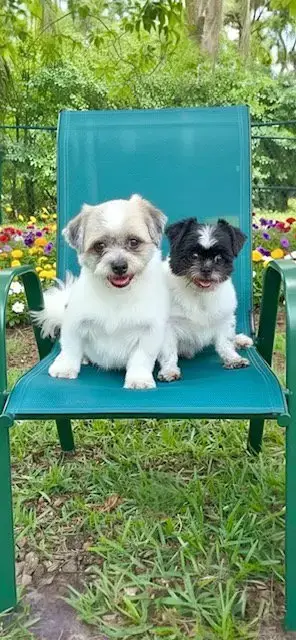 Orville & Prescott