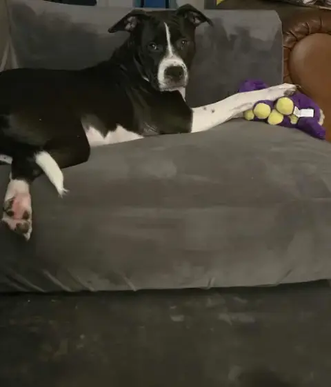 Jax photo 2