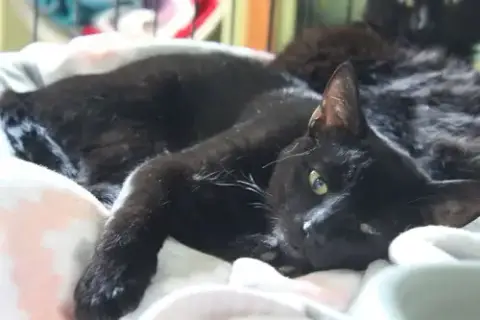 Sleepy