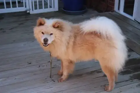 Max photo 4