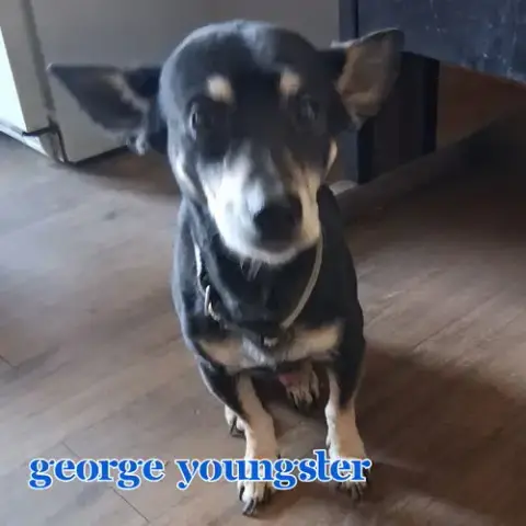 George Youngster photo 5