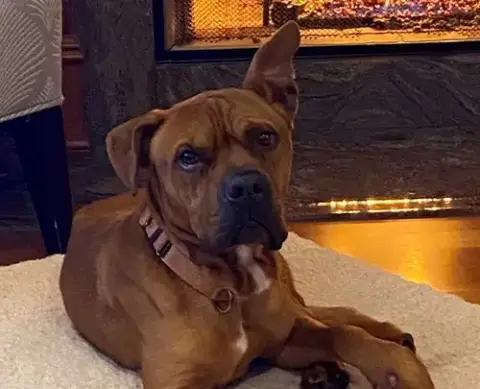 Bruce