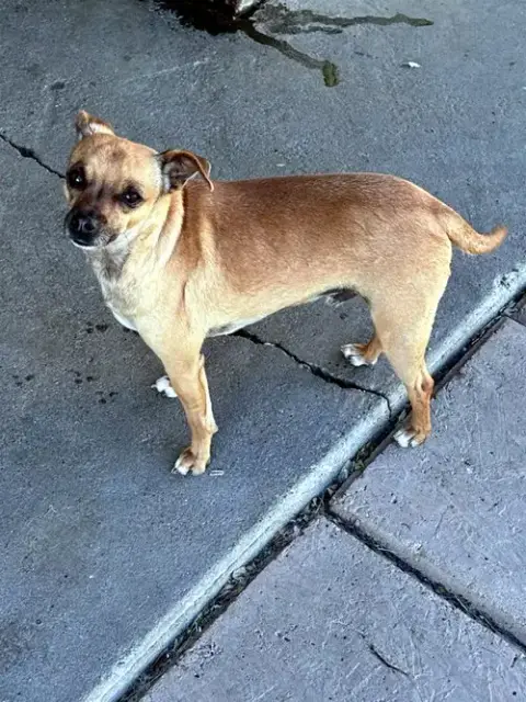 Gus photo 3