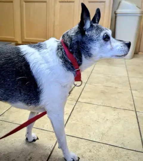 Molleigh photo 4