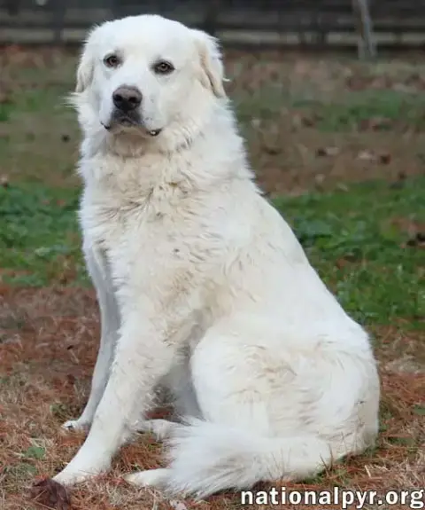 Wyatt In Tn photo 2