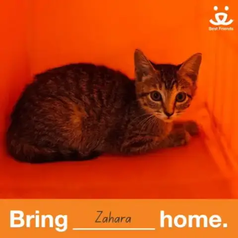 Zahara photo 3