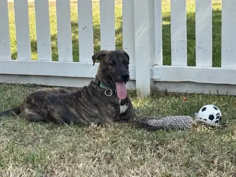 Jekyll photo 5