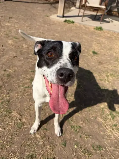 Delilah photo 2