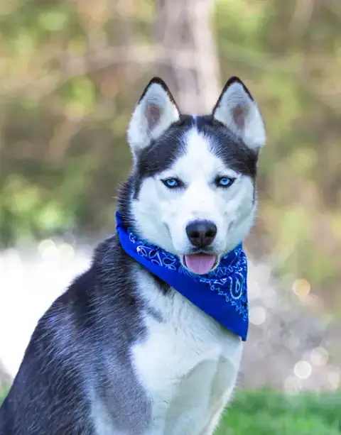 Yukon