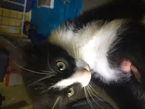 Tux photo 2