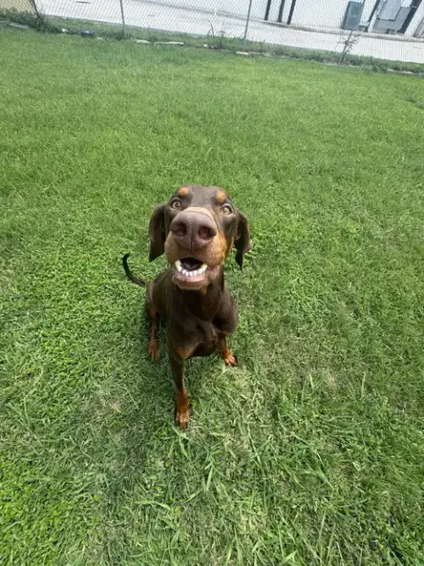 Cooper photo 5