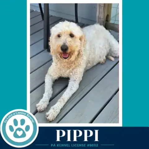 Pippi 050926