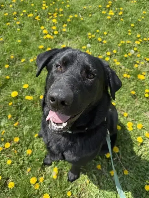 Archer