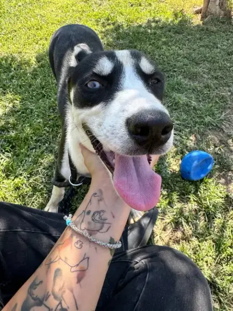 Molly photo 5