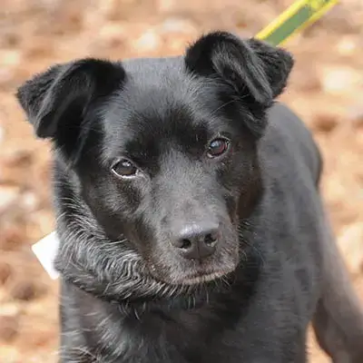 Nyla photo 3