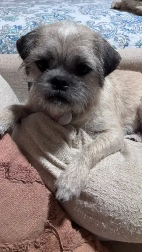 Frannie photo 3