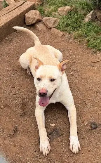 Lucy photo 2