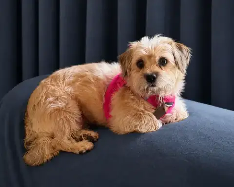 Molly Mar 26