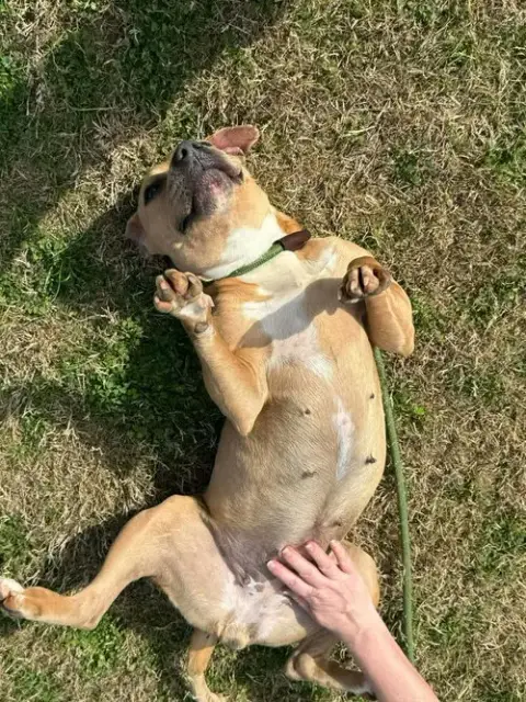 Baylee photo 2