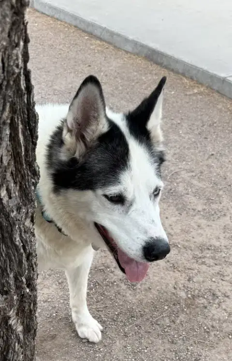 Zeus photo 2