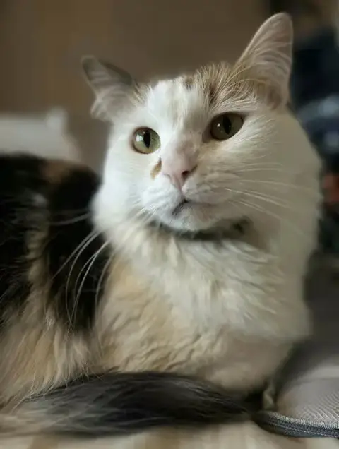 Genevieve photo 4