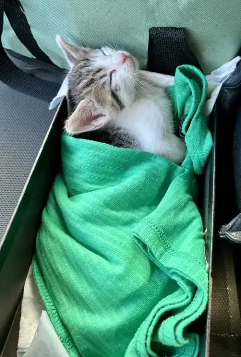 Little Papa