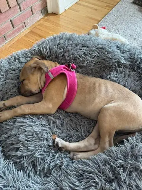 Penelope photo 4