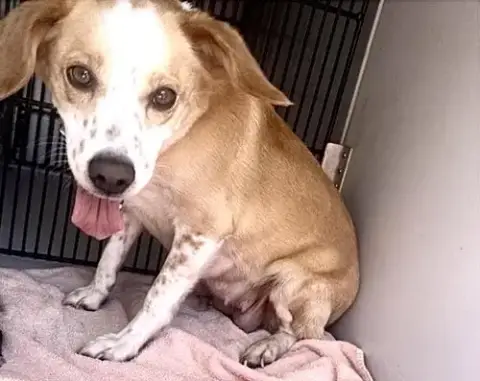 A657620