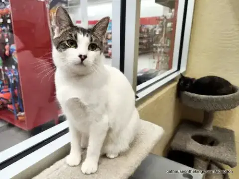 Tina