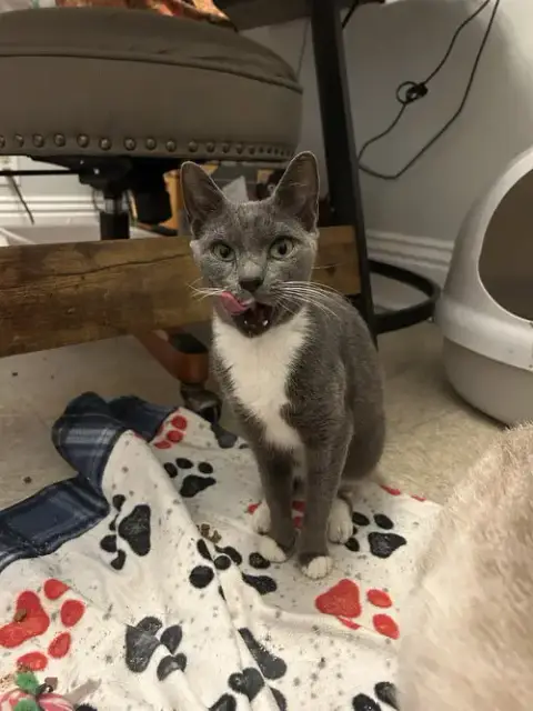 Berlioz