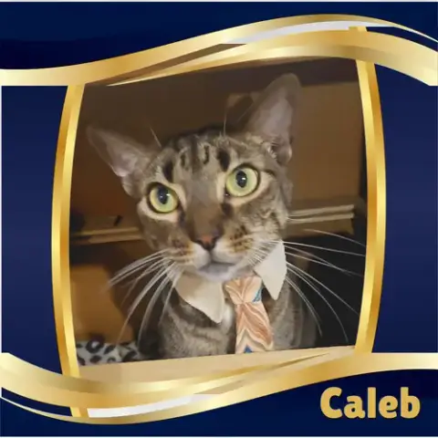 Caleb photo 2