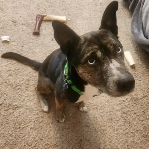 Belarus photo 2