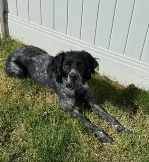 Ut/Millie photo 3