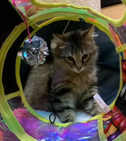 Milo