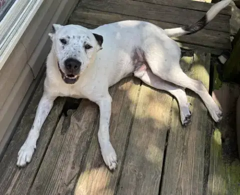 Gabe photo 2