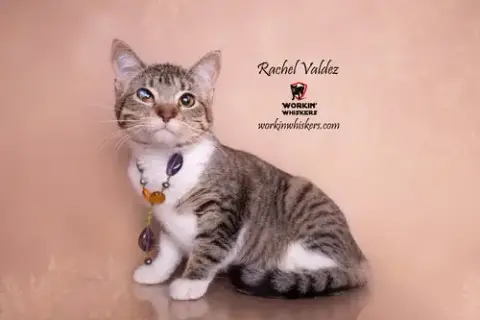Rachel Valdez photo 2