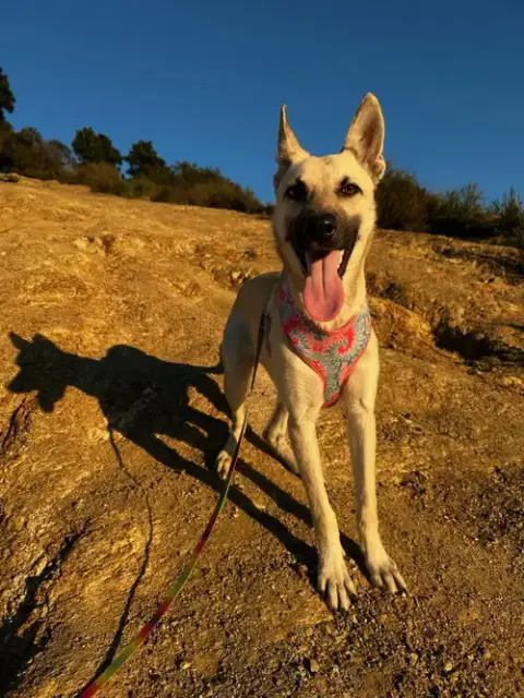 Ella photo 2