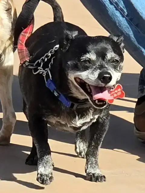 Max photo 2