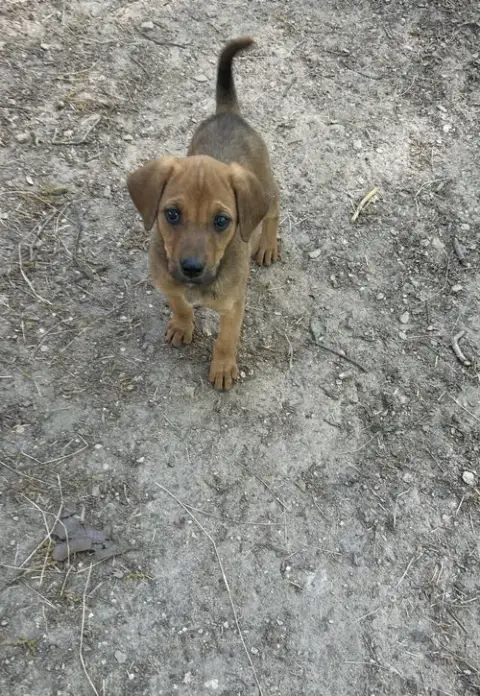Ellie photo 3
