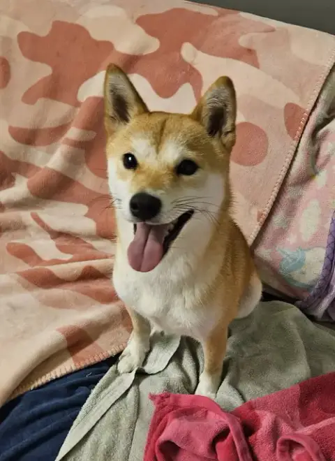 Luna photo 2